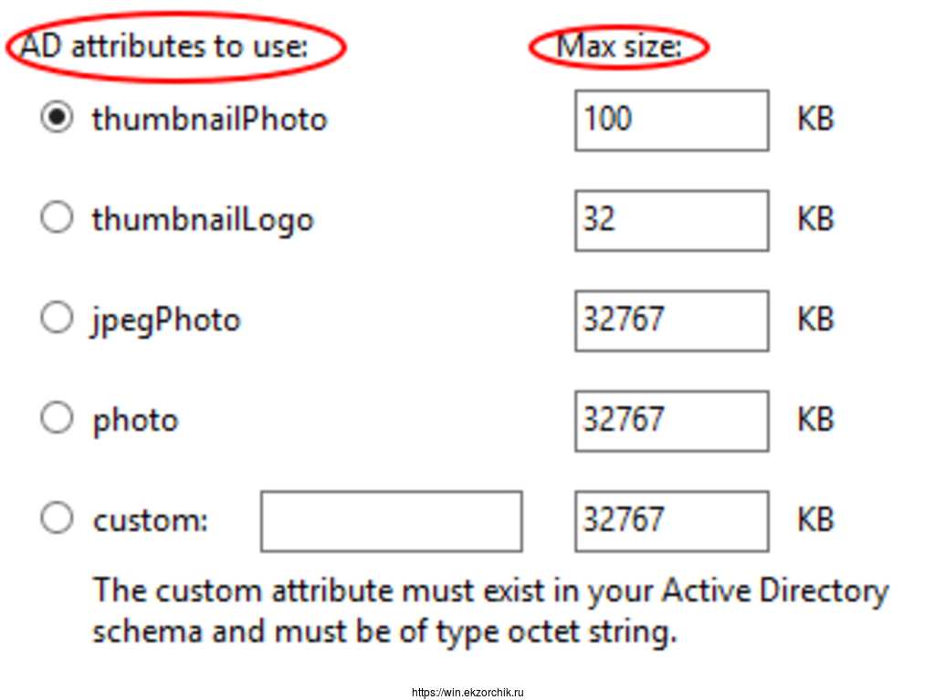 Атрибуты Active Directory которые могут содержать изображение