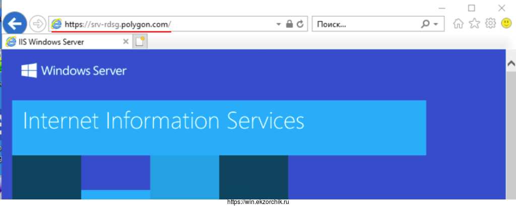 Проверяю, что из доменной сети могу обратиться на 443/tcp https://srv-rdsg.polygon.com