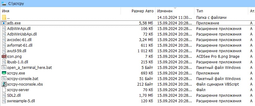 Содержимое распакованного архива scrcpy.