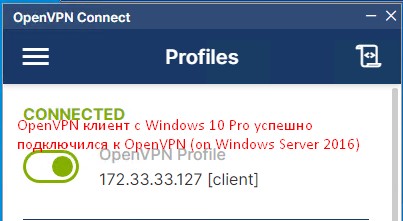 Если все указано верно и ничего нигде не блокируется OpenVPN соединение будет установлено.