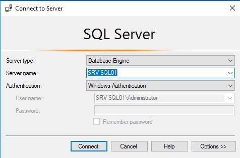 Через SQL Management Studio подключаюсь к SQL Server.