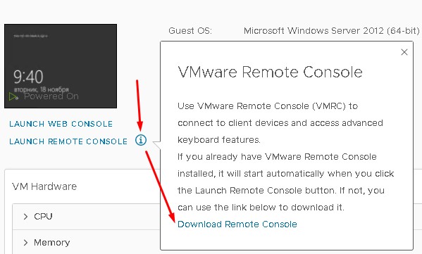 Для подключения к консоли VM нужно использовать VMware Remote Console (VMRC).