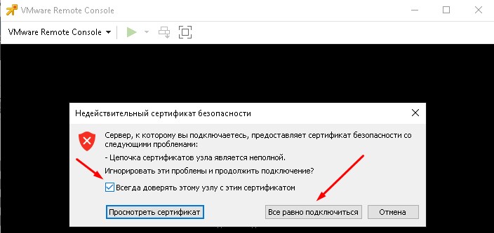 Отмечаю что доверяю сертификату и "Все равно подключиться."